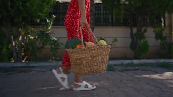 Woman Holding Basket Healthy Fresh Organic Vegetables Harvest — Stock Video