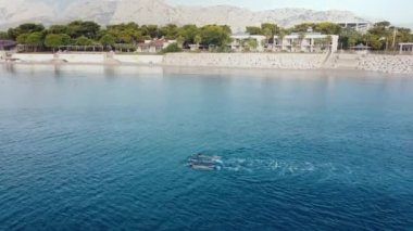 Açık denizde yüzme eğitimi alan bir grup insan. Açık denizde sabah triatlon antrenmanı. Hava görüntüsü. 