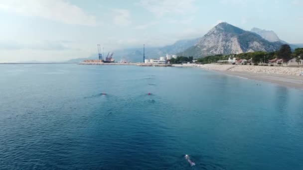 Grupo Personas Entrenando Para Nadar Mar Abierto Entrenamiento Matutino Triatlón — Vídeos de Stock