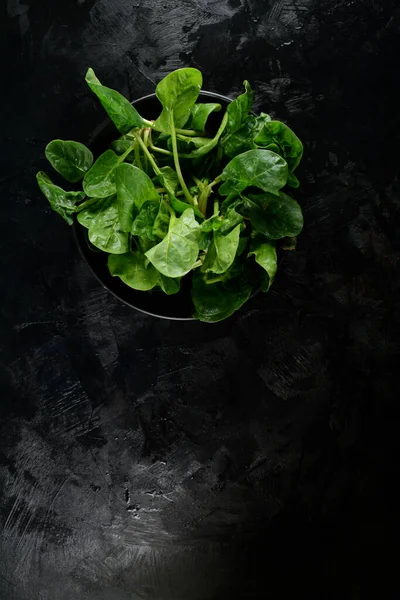 Fresh Spinach Black Background — Stock Photo, Image