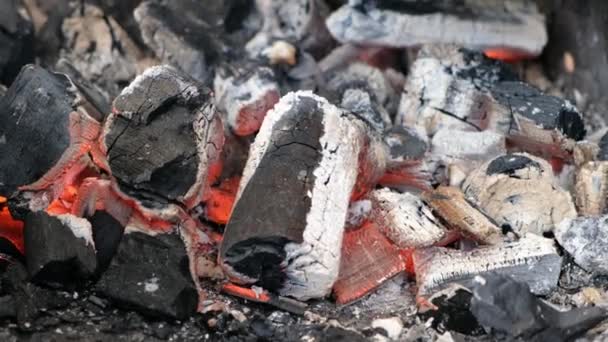 バーベキューグリルでの燃焼石炭のクローズアップ。熱い石炭と煙と炎. — ストック動画