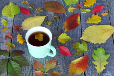 Sonbahar yapraklarının arasında, ahşap bir masanın üzerinde seramik bir fincan siyah çay. Sonbahar kavramı, konfor, konfor. 