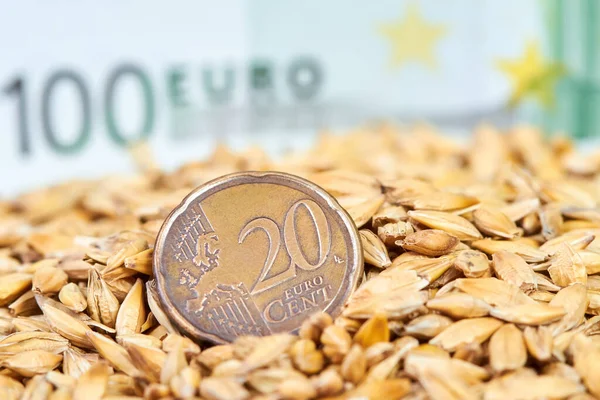 Close-up of Twenty cent euro coin in barley grains on the background of one hundred euro bill