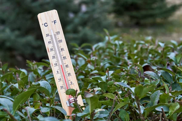 Santralin Dallarındaki Yapımı Alkol Termometresinin Yakından Çekilmiş Fotoğrafı Sıcaklığı Celsius — Stok fotoğraf
