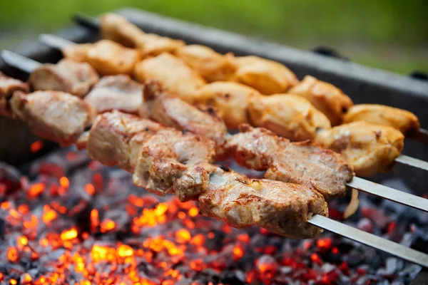 豚や鶏の串は グリルの串焼きに揚げられています — ストック写真