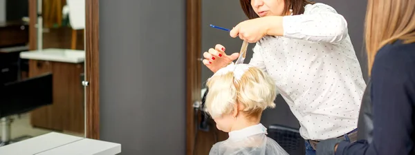 Cabeleireiro Profissional Está Pintando Cabelo Sua Cliente Feminina Salão Beleza — Fotografia de Stock