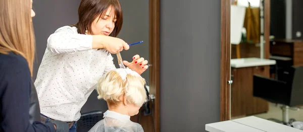 Die Professionelle Friseurin Färbt Ihrer Kundin Einem Schönheitssalon Die Haare — Stockfoto