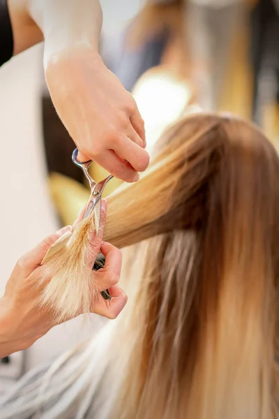 Női Szőke Haj Vágása Fodrász Egy Fiatal Kaukázusi Haját Vágja — Stock Fotó
