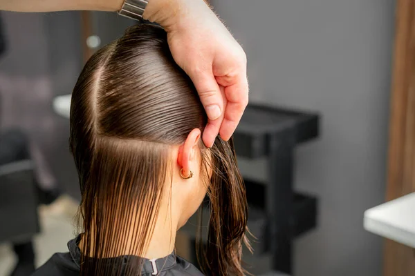 Kuaför Kadın Saçlarını Taraklı Bölümlere Ayırır Saçlarını Tarar Ellerini Kuaförde — Stok fotoğraf