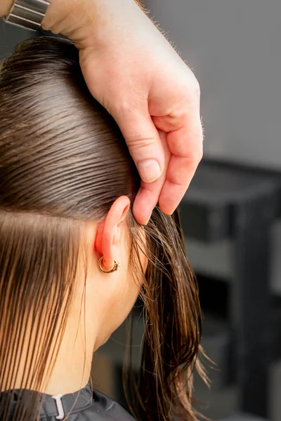 Fryzjer Dzieli Kobiece Włosy Sekcje Grzebieniem Trzymając Włosy Dłońmi Salonie — Zdjęcie stockowe