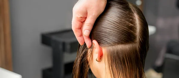 Hairdresser Divides Female Hair Sections Comb Holding Hair Her Hands — Stock Photo, Image