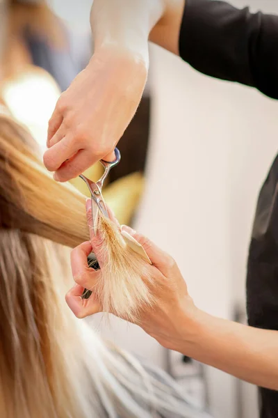 Obcinam Kobiecie Blond Włosy Fryzjer Obcina Włosy Młodej Białej Kobiecie — Zdjęcie stockowe