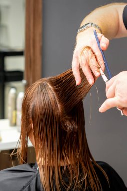 Yeni saç kesimi olan bir kadın. Erkek kuaför, kuaförde makasla kahverengi saç kesiyor.