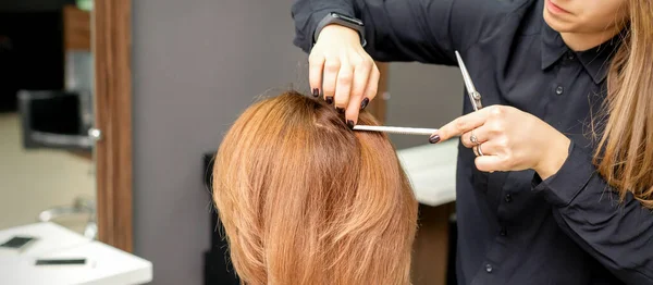美容室での手続きに若い女性の長い髪を準備美容師 — ストック写真