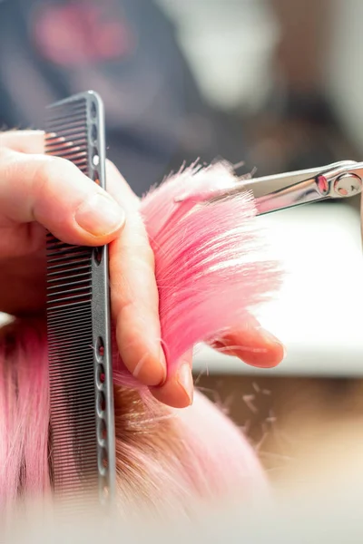 新しい髪型の女性 ヘアサロンではさみでピンクの髪を切断男性美容師 クローズアップ — ストック写真