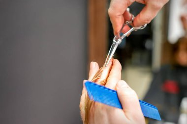 Kuaförde bir erkek kuaför tarafından taraklı ve makaslı kızıl saç kesimi. Kapatın.