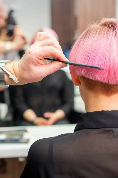 Cabeleireiro Profissional Escovando Cabelo Rosa Curto Mulher Jovem Com Pente — Fotografia de Stock