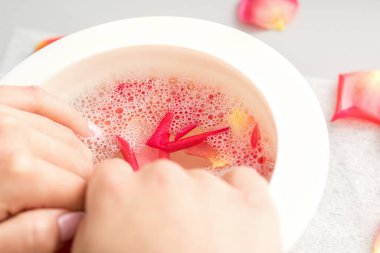 Female hands in a bowl of water with pink petals of rose flowers in spa clipart