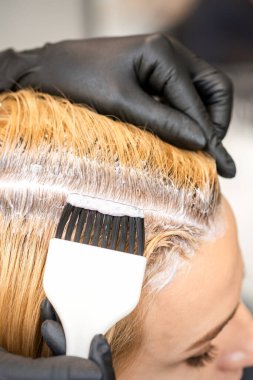 The hairdresser is dyeing blonde hair roots with a brush for a young woman in a hair salon clipart