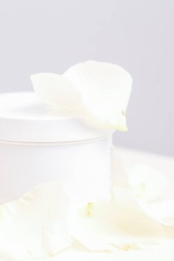 Beyaz kavanozda krema ve narin beyaz gül çiçekleri arasında hafif arka planda taç yaprakları. Doğal organik kozmetik konsepti, yakın plan, model.