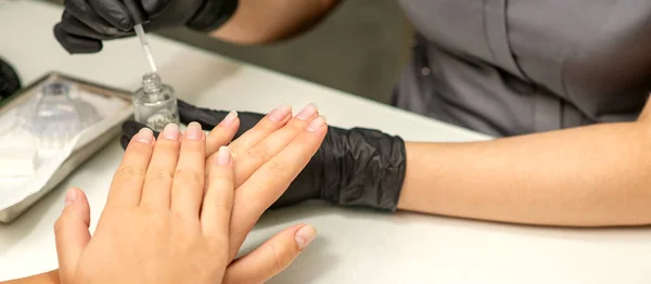 Manicure Painting Process Manicure Master Paint Nails Transparent Varnish Nail — Stok fotoğraf