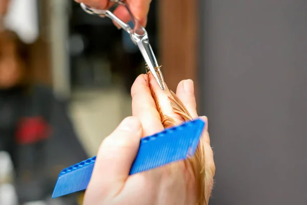 Kapsel Van Rood Haar Tips Met Kam Schaar Door Handen — Stockfoto