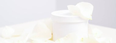 Beyaz kavanozda krema ve narin beyaz gül çiçekleri arasında hafif arka planda taç yaprakları. Doğal organik kozmetik konsepti, yakın plan, model.