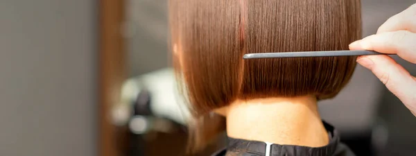Hairdresser Combing Short Hair Brunette Female Client Hairdresser Salon Back — Stock Photo, Image