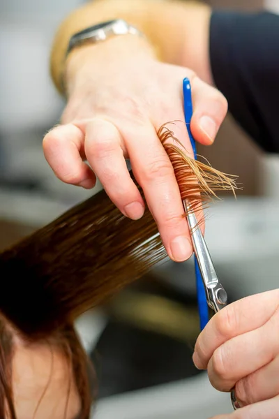 Ręce Fryzjera Przytrzymaj Kosmyk Włosów Między Palcami Fryzurę Długich Włosów — Zdjęcie stockowe