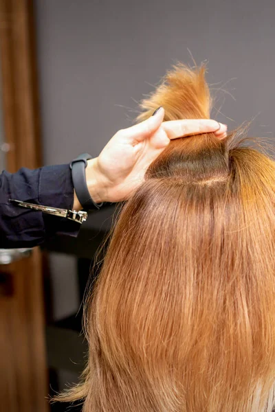 Kadeřník Drží Pramen Ruce Mezi Prsty Ženských Vlasů Vyšetření Vlasů — Stock fotografie