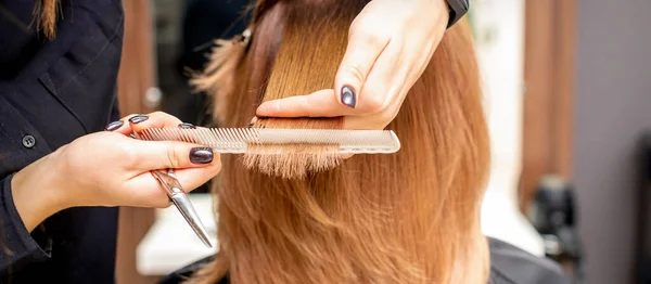 Las Manos Del Peluquero Sostienen Hebra Pelo Entre Sus Dedos — Foto de Stock