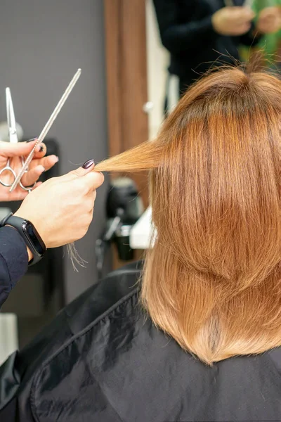 Red-haired woman sitting a front of the mirror and receiving haircut her red long hair by a female hairdresser in a hair salon, back view