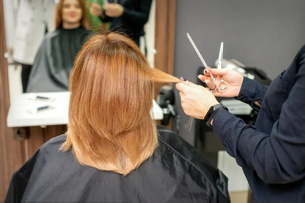 Red-haired woman sitting a front of the mirror and receiving haircut her red long hair by a female hairdresser in a hair salon, back view