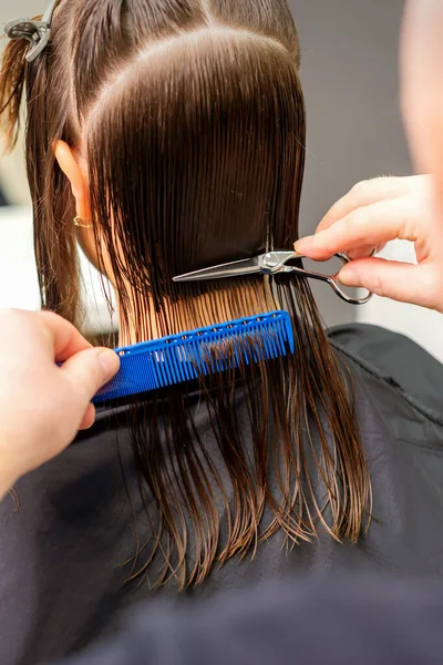 Haircut of long wet hair of young caucasian woman by a male hairdresser in a hairdresser salon, back view