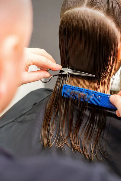 Haircut of long wet hair of young caucasian woman by a male hairdresser in a hairdresser salon, back view