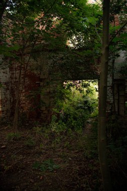 Yazın terk edilmiş köşkte kemer.