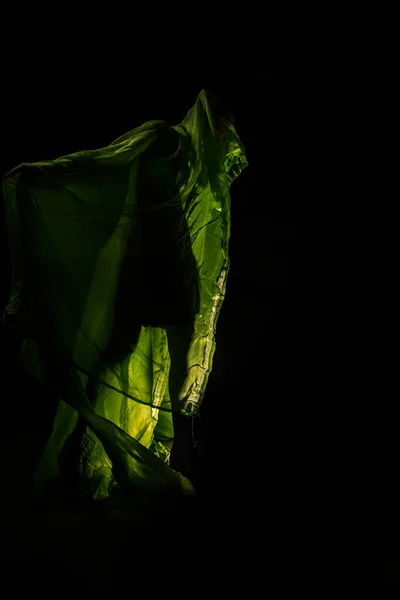 Dívka Pózuje Zelené Závěsy Tmavém Pozadí — Stock fotografie