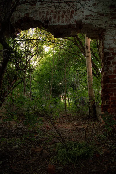 Arche Dans Manoir Abandonné Été — Photo