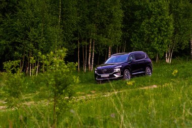 MOSCOW, Rusya - 25 Mayıs 2021 Hyundai Santa Fe Dördüncü Nesil TM. 2020 model arazi aracı kompakt modeli. Doğanın arka planında dış görünümü kapat.