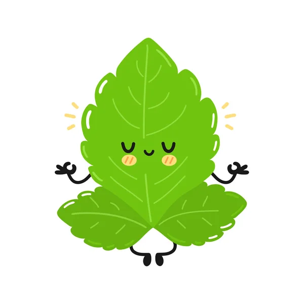 Lindo personaje divertido stevia hojas. Vector dibujado a mano simple dibujo plano de dibujos animados kawaii carácter icono de la ilustración. Aislado sobre fondo blanco. Stevia azúcar hojas dibujo animado carácter concepto — Vector de stock