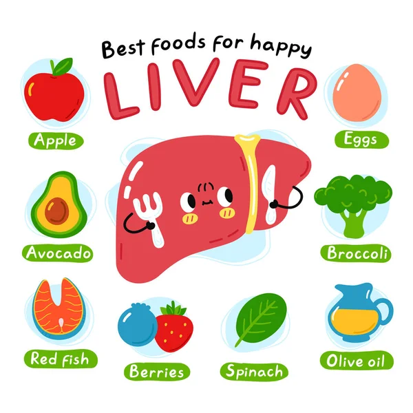 Cele mai bune alimente pentru posterul infografic fericit al ficatului. Drăguţ caracter de organ intestinal. Vector desen animat kawaii personaj ilustrație pictogramă. Izolat pe fundal alb. Nutriție, ficat sănătos dieta concept — Vector de stoc