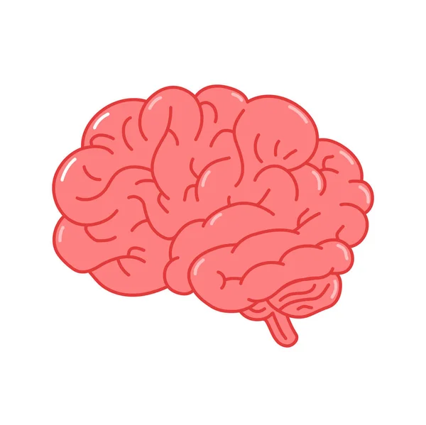 Organismo do cérebro humano.Vector mão desenhada doodle linha estilo desenho animado personagem logotipo ilustração. Isolado onw hite fundo. Órgão cerebral humano, anatomia conceito logotipo —  Vetores de Stock