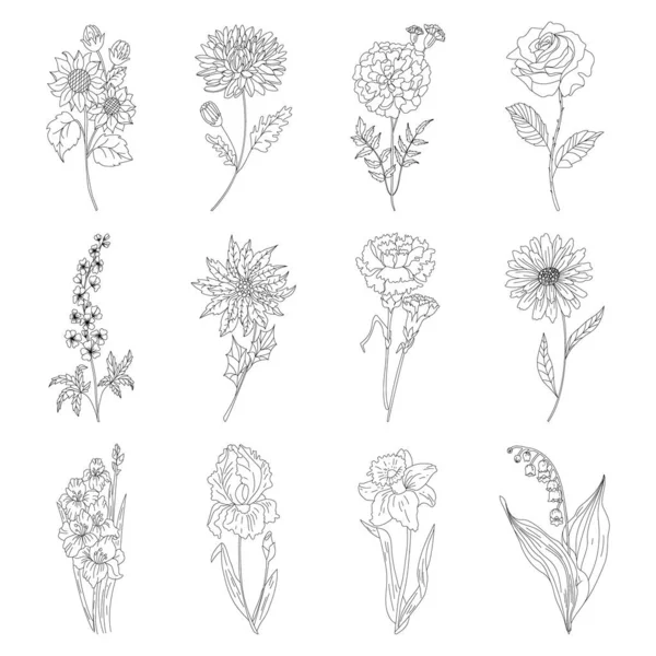 Sketch Floral Botany set. Dibujos variados de flores y hojas. Blanco y negro con líneas de arte sobre fondos blancos. Ilustraciones dibujadas a mano. — Vector de stock