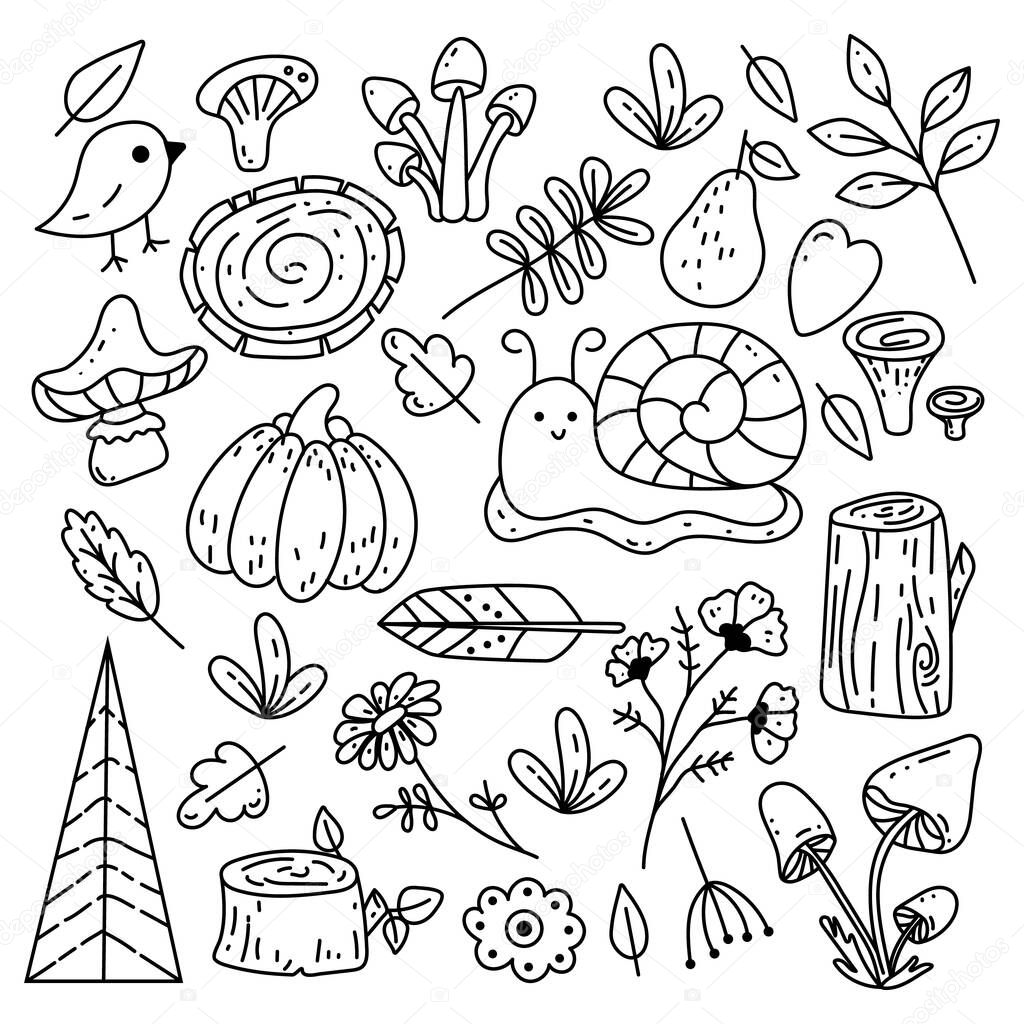 Set of Autumn Forest design elements in doodle hand drawn style. Collection of animals and natural objects in vintage style.