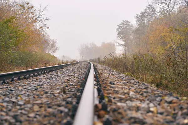 Järnväg Dimman Höstskogen — Stockfoto
