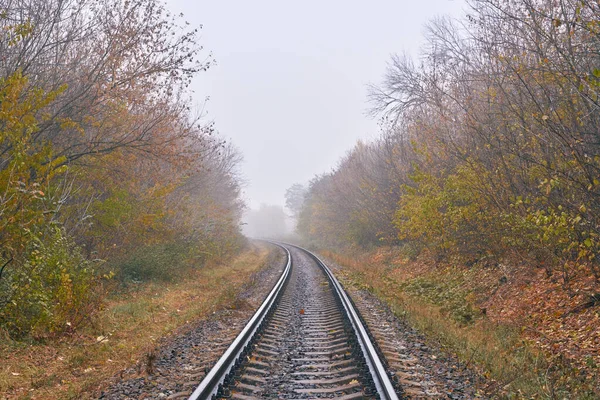 Sisin Içindeki Demiryolu Sonbahar Ormanında Sola Döner — Stok fotoğraf