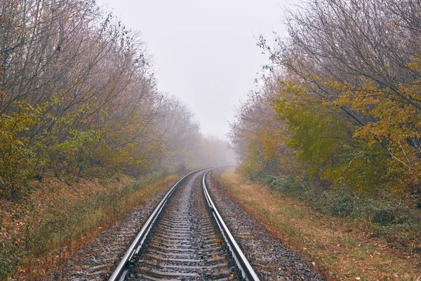 Järnväg Dimma Svänger Höger Höstskogen — Stockfoto