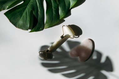 Yüz masajı silindirli yeşil tropikal yapraklar