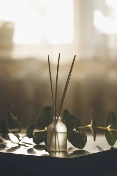 Romantische Aromatherapiestokken Decoratieve Boomtak Prachtig Donker Avondlicht Voor Evenementen Ontwerpelement — Stockfoto
