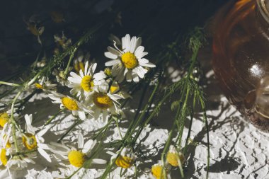 Beyaz arka planda cam bir kavanozda papatya çiçekleri.
